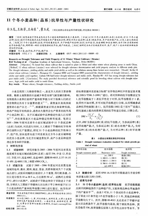 11个冬小麦品种(品系)抗旱性与产量性状研究