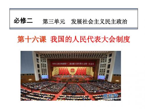 2014届高考政治一轮复习课件：第十六课 我国的人民代表大会制度