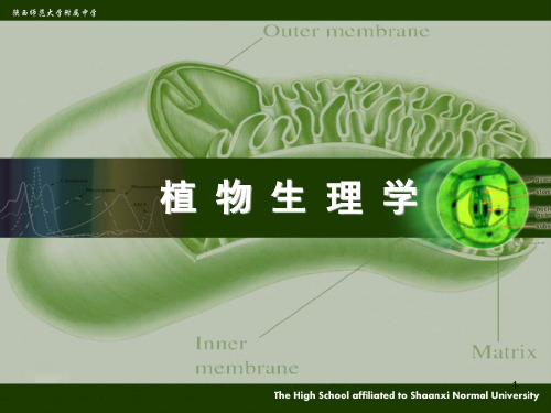 5专题.植物体内物质的运输(24张PPT)