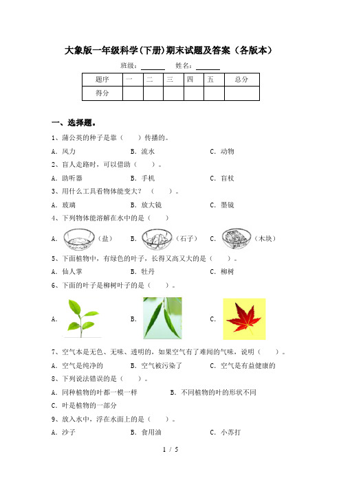 大象版一年级科学(下册)期末试题及答案(各版本)