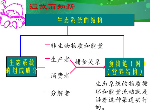 生态系统的能量流动