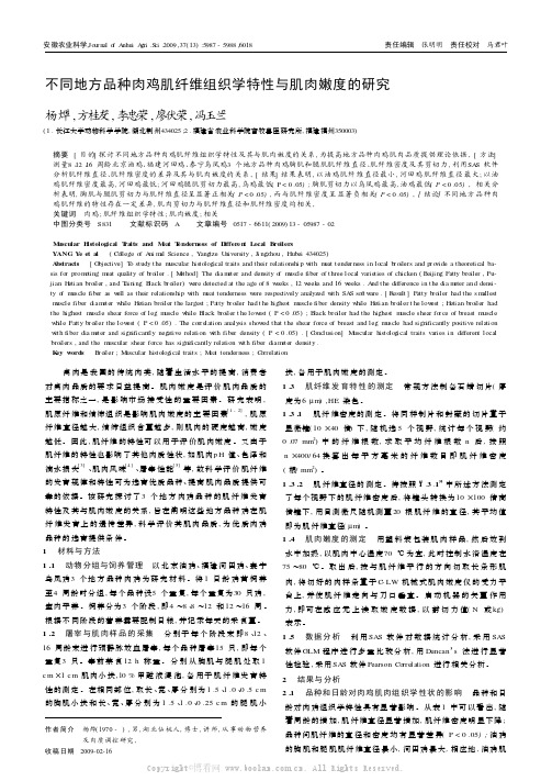 不同地方品种肉鸡肌纤维组织学特性与肌肉嫩度的研究