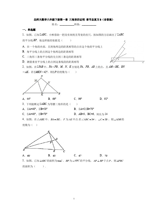 第一章 三角形的证明 章节总复习B