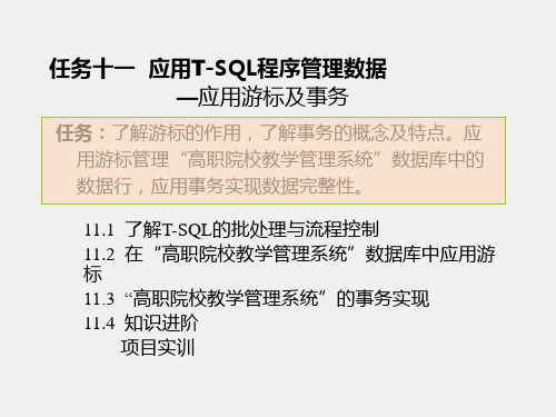 《SQL Server数据库应用技术实例教程》课件任务十一
