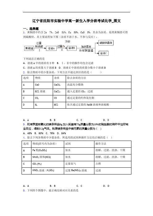 辽宁省沈阳市实验中学高一新生入学分班考试化学_图文