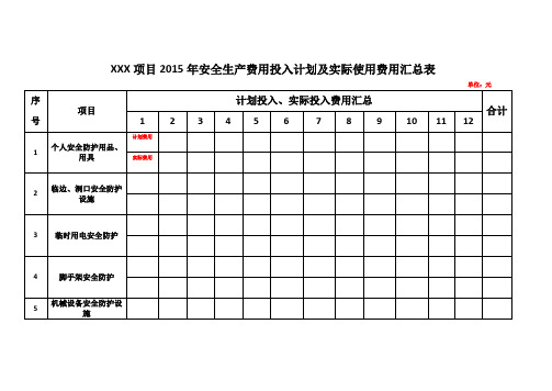 (精选文档)XXX项目部安全生产费用投入计划表