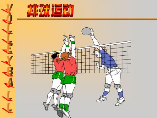排球运动