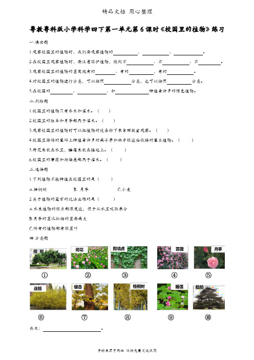 (新教材)粤教粤科版四年级下册科学 第6课 校园里的植物 课时练(同步练习)