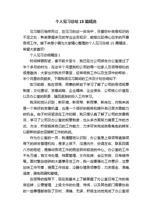 个人见习总结15篇精选