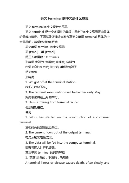 英文terminal的中文是什么意思