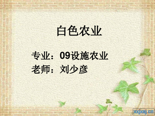 白色农业