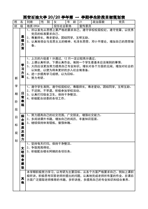 阶段目标规划表