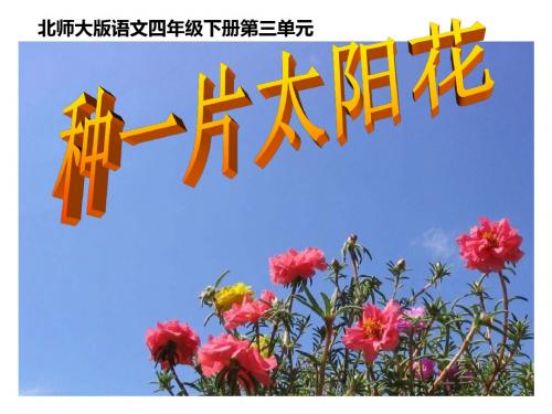 四年级语文下册《种一片太阳花》PPT课件