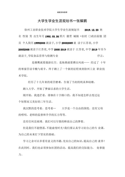 大学生学业生涯规划书—张耀鹏