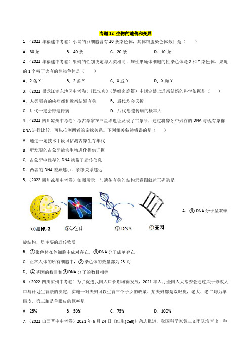 2022年全国生物中考真题(江苏河南广东四川湖南等)汇编专题12 生物的遗传和变异(含详解)