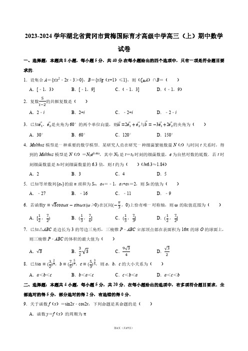 2023-2024学年湖北省黄冈市黄梅国际育才高级中学高三(上)期中数学试卷【答案版】