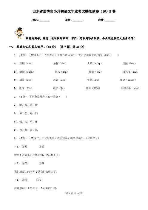 山东省淄博市小升初语文毕业考试模拟试卷(10)B卷