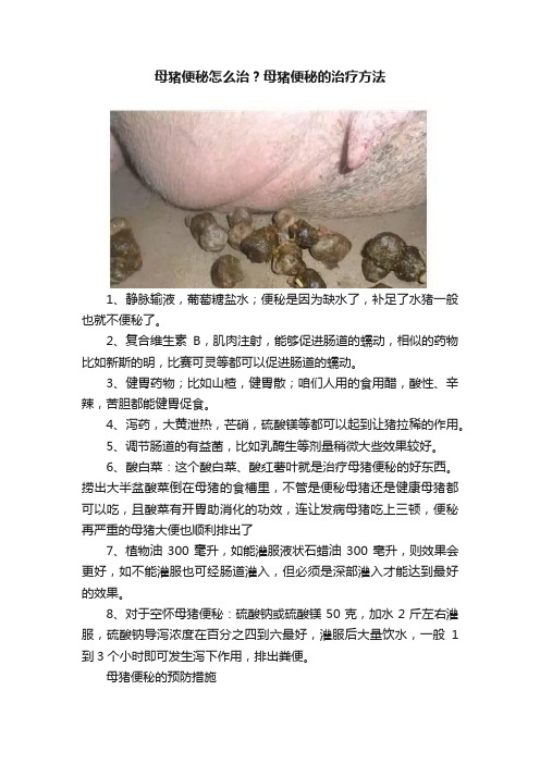 母猪便秘怎么治？母猪便秘的治疗方法