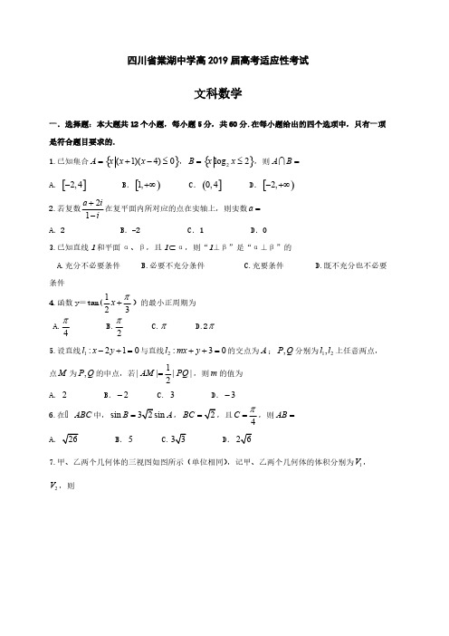 四川省棠湖中学2019届高三高考适应性考试数学(文)试题(含答案)