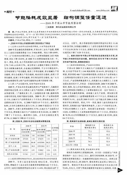 节能降耗成效显著 结构调整任重道远——2009年平顶山市节能形势分析