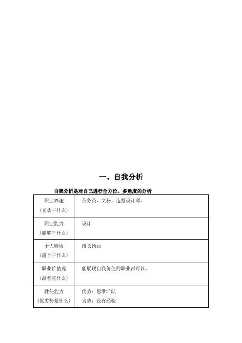 动漫专业大学生职业生涯规划书