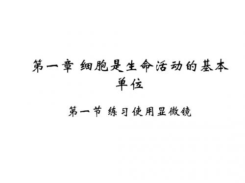 2019年秋人教版七年级上学期生物课件:2.1.1 练习使用显微镜(共33张PPT)