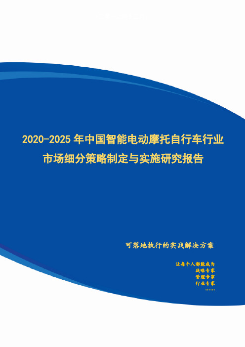 2020-2025年中国智能电动摩托自行车行业市场细分策略制定与实施研究报告