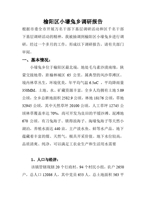 榆阳区小壕兔乡调研报告