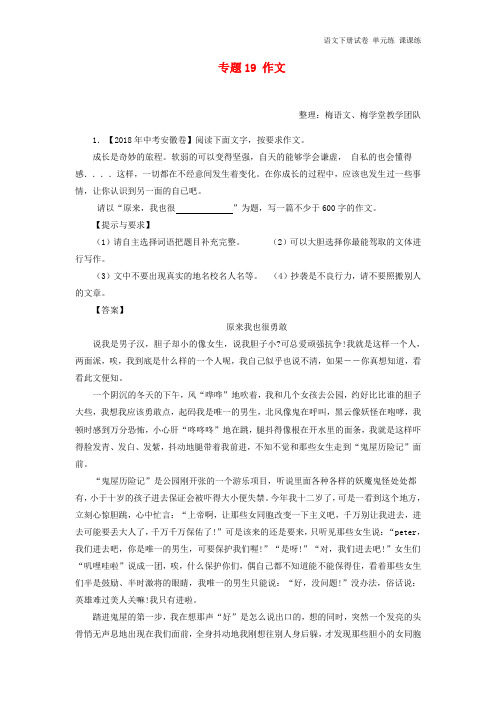 2018年中考语文试题:专题21 作文(含解析).doc