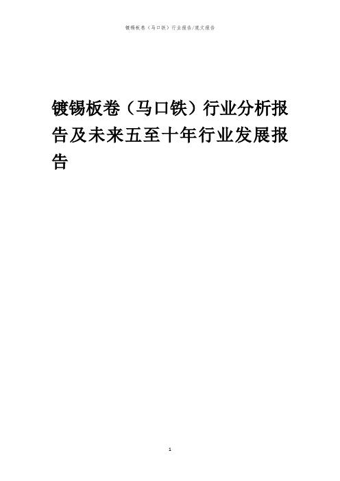 2023年镀锡板卷(马口铁)行业分析报告及未来五至十年行业发展报告