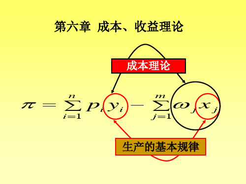 成本、收益理论知识.pptx