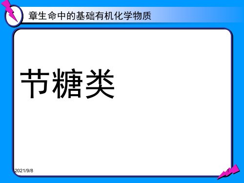 《第二节糖类》课件