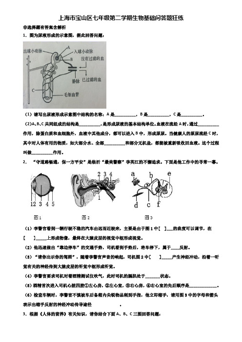 上海市宝山区七年级第二学期生物基础问答题狂练含解析