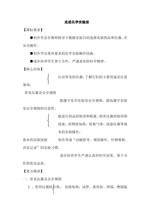 2013届中考走进化学实验室专题复习