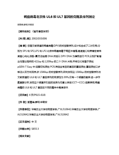 鸭瘟病毒北京株UL6和UL7基因的克隆及序列测定