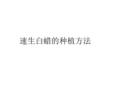 速生白蜡的栽培方法介绍