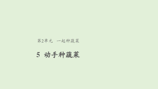 【教学课件】6 动手种蔬菜 二年级下册科学 粤教版(共19张PPT)