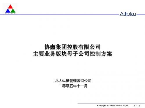 1-协鑫集团控股有限公司主要业务版块母子公司控制方案-终稿-文档资料