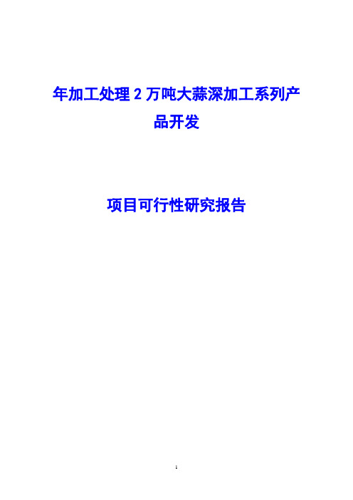 年加工处理2万吨大蒜深加工系列产品开发项目可行性研究报告