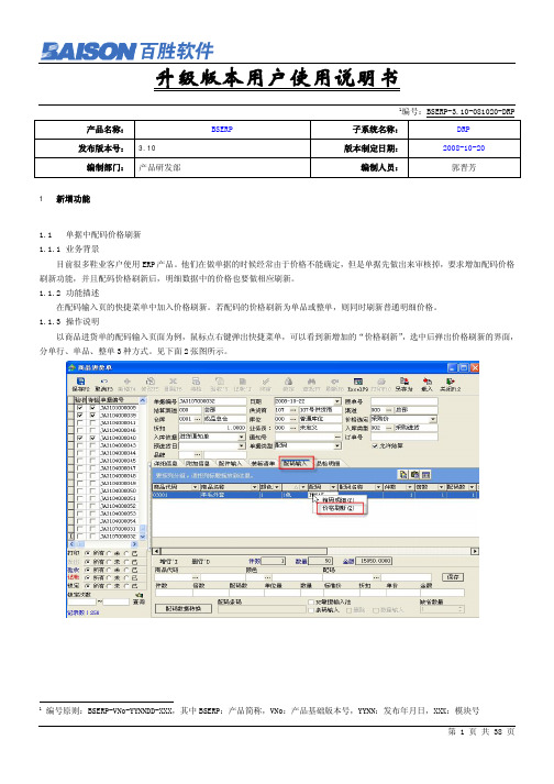 百胜软件 BSERP BSERP-3.10-081020-DRP 用户说明书