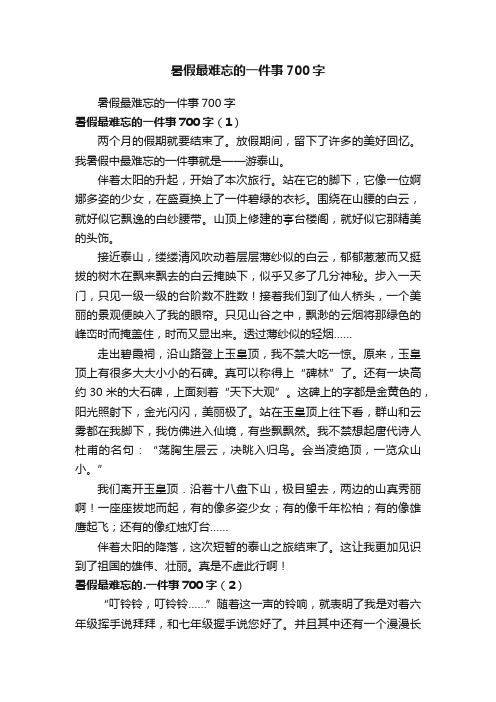 暑假最难忘的一件事700字