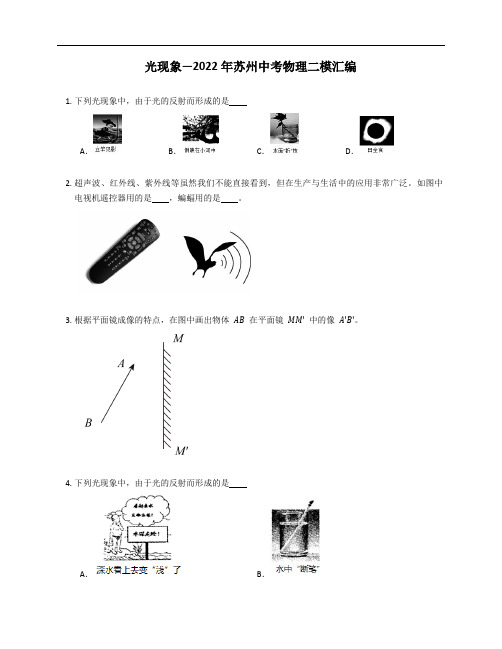 光现象—2022年苏州中考物理二模汇编