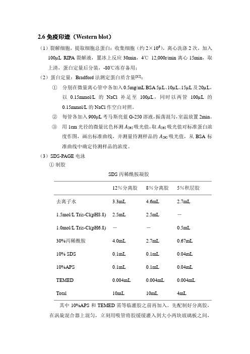 免疫印迹步骤