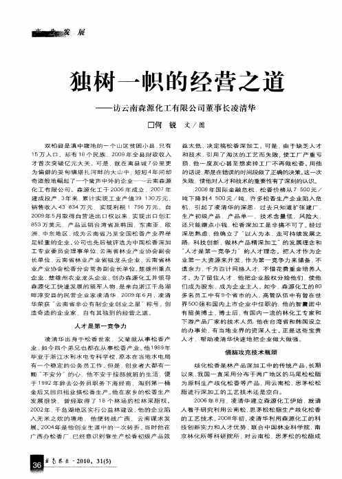 独树一帜的经营之道——访云南森源化工有限公司董事长凌清华