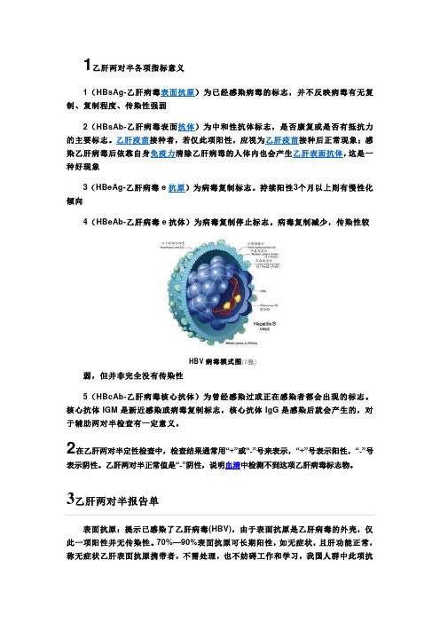 1乙肝两对半各项指标意义