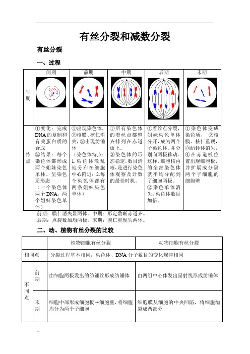 高中生物必修二有丝分裂_减数分裂总结知识点