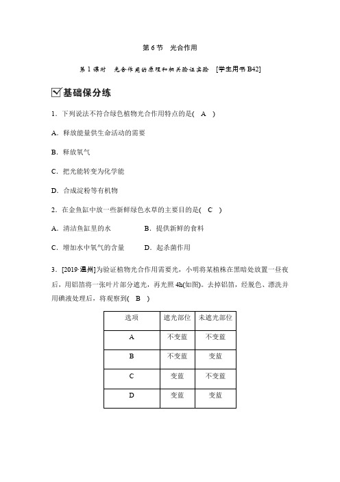 2020新浙教版八年级科学下册同步测试：3.6光合作用