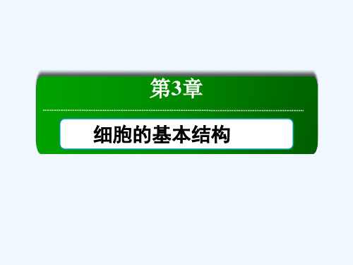 【红对勾】高一人教版生物必修一课件：细胞器——系统内的分工合作高考