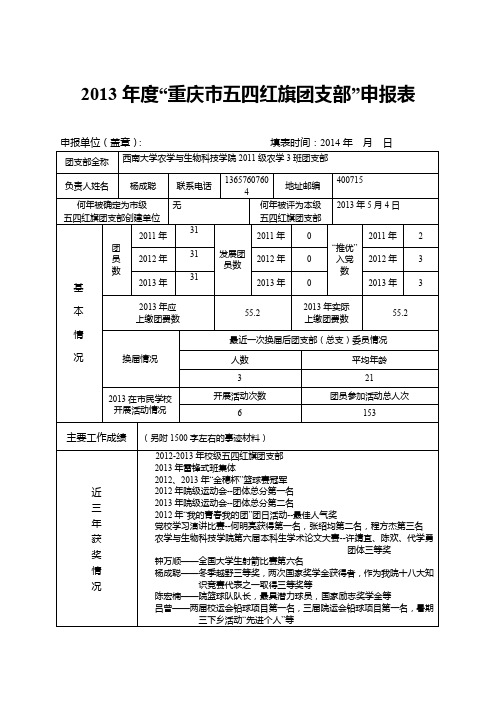 2013重庆五四红旗团支部申报表