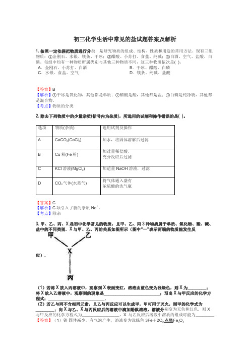 初三化学生活中常见的盐试题答案及解析
